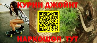 индика Ярославль