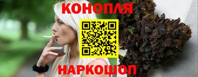 индика Ярославль