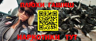 индика Ярославль
