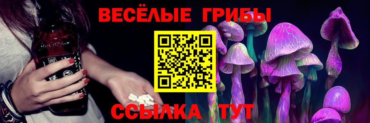 закладка  Псилоцибиновые грибы ЛСД  Вход с VPN  Ачхой-Мартан 